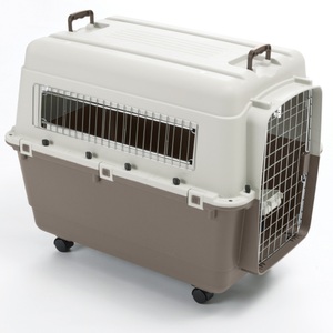 bitiba, Transportbox Feria mit Rollen - Grösse 6 (L): B 60 x T 90 x H 68 cm, 
