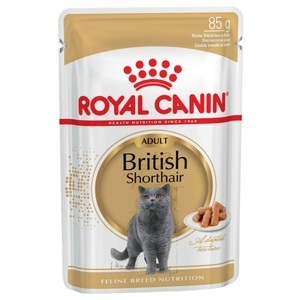 Royal Canin Breed, Royal Canin Breed British Shorthair - 12 x 85 g, Royal Canin British Shorthair Adult in Sosse - 12 x 85 g