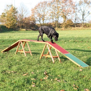 Trixie, Trixie Dog Activity Agility Steg - L 456 x B 30 x H 64 cm, Trixie Dog Activity Agility Steg - L 456 x B 30 x H 64 cm