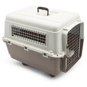bitiba, Transportbox Feria mit Rollen - Grösse 4 (S): B 51 x T 67 x H 47 cm, 