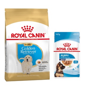 Royal Canin Breed, Royal Canin Golden Retriever Puppy - 12 kg, Royal Canin Golden Retriever Puppy - 12 kg