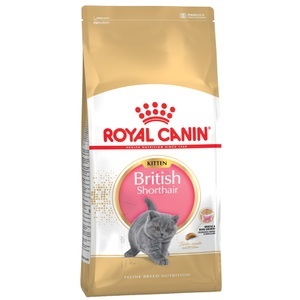 Royal Canin Breed, Royal Canin British Shorthair Kitten - 10 kg, Royal Canin British Shorthair Kitten - 10 kg
