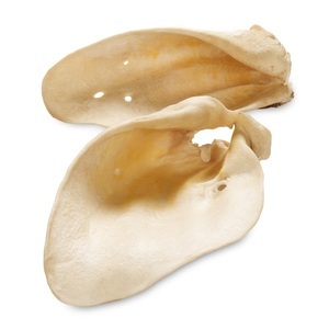 Dog snagger treats hotsell