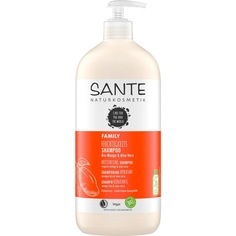 SANTE, Sante Haarpflege Sante Haarpflege Feuchtigkeits Shampoo Bio-Mango & Aloe Vera 950.0 ml, 