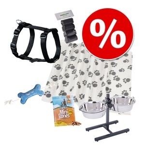 bitiba, Hundebar inklusive 2 Edelstahlnäpfe, Höhe bis 50 cm - 2 x 2,8 l, Ø 25 cm, Höhe bis 50 cm, Hundebar inklusive 2 Edelstahlnäpfe - 2 x 2,8 l, Ø 25 cm, Höhe bis 50 cm