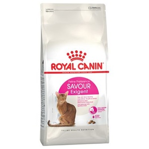 Royal Canin Breed, Royal Canin Maine Coon Adult - 10 + 2 kg gratis!, 2 kg gratis! Royal Canin im Bonusbag 12 kg - Maine Coon Adult