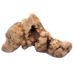 Chewies, Chewies Kauwurzel - Größe L, Chewies Kauwurzel - Grösse L (ca. 300 g)