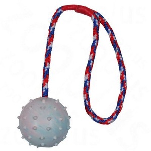 Trixie, Trixie Hundespielzeug Gummiball mit Schnur - Ball ca. Ø 6 cm, Kordel 30 cm lang, Trixie Hundespielzeug Gummiball mit Schnur - Ball ca. Ø 6 cm, Kordel 30 cm lang