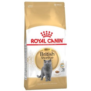 Royal Canin Breed, Royal Canin Siamese Adult - 10 kg, Royal Canin Siamese Adult - 10 kg