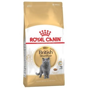 Royal Canin Breed, Royal Canin Siamese Adult - 10 kg, Royal Canin Siamese Adult - 10 kg