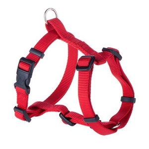 Hunter, Hunter Set: Halsband Ecco Sport + Hundeleine, rot - Halsband Größe M + Leine 200 cm / 15 mm, Hunter Führleine Ecco Sport, rot - 200 cm lang, 15 mm breit, verstellbar