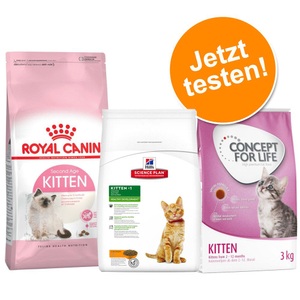 Royal Canin, Royal Canin Kitten 36 2Kgs