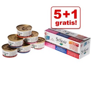 Schesir, Mixpack Schesir Fruit Dose 6 x 75 g - 3 Sorten, 