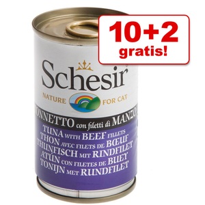 Schesir, Schesir Kitten in Gelee 6 x 140 g - Thunfisch mit Aloe, Schesir in Gelee 6 x 140 g - Kitten Thunfisch mit Aloe