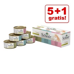 Schesir, Mixpack Schesir Fruit Dose 6 x 75 g - 3 Sorten, 