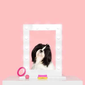Tangle Teezer, Tangle Teezer Pet Teezer Fellpflege Bürste für Hunde, Tangle Teezer Pet Teezer Detangling pink
