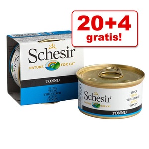 Schesir, Sparpaket Schesir in Gelee 36 x 85 g - Kitten Thunfisch mit Aloe, 