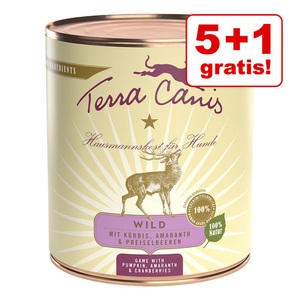 Terra Canis, 5 + 1 gratis! 6 x 800 g Terra Canis - Lamm mit Zucchini, Hirse & Dill, Terra Canis 6 x 800 g - Lamm mit Zucchini, Hirse & Dill
