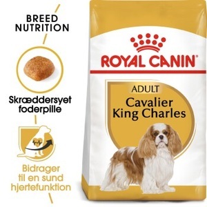 Royal Canin, Royal Canin Cavalier King Charles 1.5kg, ROYAL CANIN Cavalier King Charles Adult 1.5 kg
