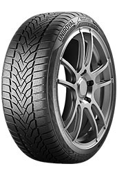 225/45 R17 94V WinterExpert XL FR M+S