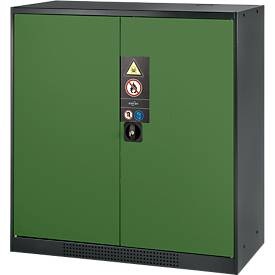 Chemikalienschrank, Flügeltür, 2 Böden, 1055x520x1105 mm, resedagrün
