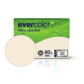 undefined, Farbiges Kopierpapier EVERCOLOR, DIN A4, 80 g/m², hellchamoisgelb, 1 Paket = 500 Blatt, Kopierpapier A4 80g chamois