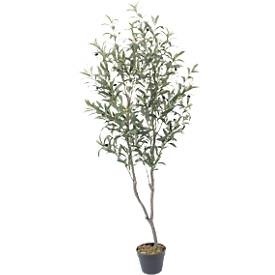 MEET_by_Paperflow, Kunstpflanze meet by Paperflow Olivenbaum, H 1550 mm, Polyester/PE, Kunstpflanze meet by Paperflow Olivenbaum, H 1550 mm, Polyester/PE