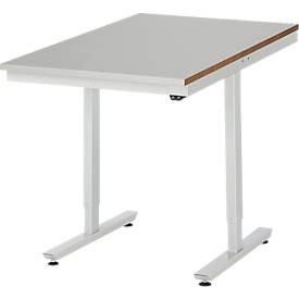 RAU, Arbeitstisch, elektrisch höhenverstellbar, RAU Arbeitstisch, elektrisch höhenverstellbar, Höhe 720 - 1120 mm, Stahlblechplatte, BxT 750 x 1000 mm
