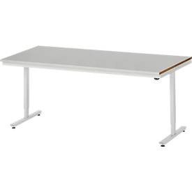 RAU, Arbeitstisch, elektrisch höhenverstellbar, RAU Arbeitstisch, elektrisch höhenverstellbar, Höhe 720 - 1120 mm, Stahlblechplatte, BxT 2000 x 800 mm