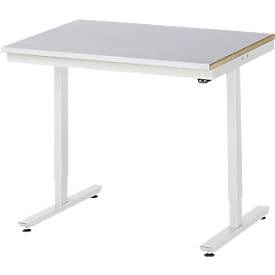 RAU, Arbeitstisch, elektrisch höhenverstellbar, RAU Arbeitstisch, elektrisch höhenverstellbar Serie Adlatus, Stahlblechplatte, Höhe 720 - 1120 mm, BxT 1000 x 800 mm
