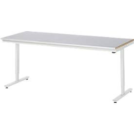RAU, Arbeitstisch, elektrisch höhenverstellbar, RAU Arbeitstisch, elektrisch höhenverstellbar Serie Adlatus, Stahlblechplatte, Höhe 720 - 1120 mm, BxT 2000 x 800 mm