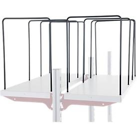 Huedig+Rocholz, Hüdig+Rocholz Fachteiler für Ablageboden System Flex, 4-er, Bügelweite 300 mm, ROCHOLZ Fachteiler für Ablageboden System Flex, 4-er, Bügelweite 300 mm