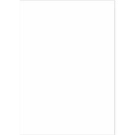 Schäfer Shop Select, Schäfer Shop Select Power Etiketten 210,0 x 297,0 mm, Schäfer Shop Select Power Etiketten 210,0 x 297,0 mm