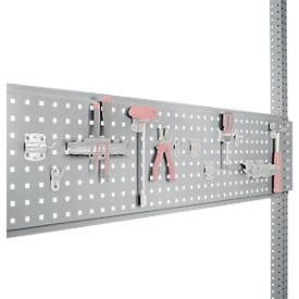 Manuflex, Manuflex ZB3342.9006 Werkzeughalterplatte für Tischbreite 1250 mm Weißaluminium (B x H) 350 mm x 1246 mm, Werkzeug-Lochplatte, für Tischbreite 1250 mm, f. Serie Universal/Profi, alusilber RAL 9006
