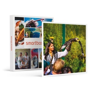 SMARTBOX, Tierisch gut! Falconeria Locarno für 2 mit Prosecco und Foto mit Eule, Tierisch gut! Falconeria Locarno für 2 mit Prosecco und Foto mit Eule