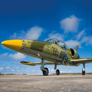 SMARTBOX, Pilot für einen Tag in Florida: 1 Stunde Abenteuer an Bord eines L-39 Albatros Düsenjägers, Pilot für einen Tag in Florida: 1 Stunde Abenteuer an Bord eines L-39 Albatros Düsenjägers