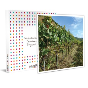 SMARTBOX, Weinverkostung im Duo mit Brett zum Teilen und Spaziergang durch die Weinberge in der Nähe von Sion, Weinverkostung im Duo mit Brett zum Teilen und Spaziergang durch die Weinberge in der Nähe von Sion