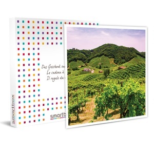 SMARTBOX, Weinkultur im Veneto: Führung mit Weinverkostung und 1 oder 2 Geschenkweinen, Weinkultur im Veneto: Führung mit Weinverkostung und 1 oder 2 Geschenkweinen