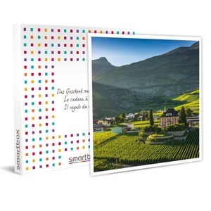 SMARTBOX, Verkostung von 4 Weinen zu zweit und Besichtigung von Weinkellern in der Nähe von Sitten mit Flasche gratis, Verkostung von 4 Weinen zu zweit und Besichtigung von Weinkellern in der Nähe von Sitten mit Flasche gratis