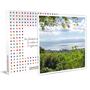 SMARTBOX, Weinprobe, Besichtigung des Weinguts, 3 Flaschen Wein gratis zwischen Genf und Lausanne, Weinprobe, Besichtigung des Weinguts, 3 Flaschen Wein gratis zwischen Genf und Lausanne
