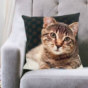 undefined, Dekokissen «Katze» (Kissen mit Katzenmotiv), Dekokissen Katze