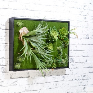 Carlo Milano, Carlo Milano Vertikaler Wandgarten Knut mit Deko-Pflanzen, 60 x 40 cm, Vertikaler Wandgarten Knut mit Deko-Pflanzen, 60 x 40 cm