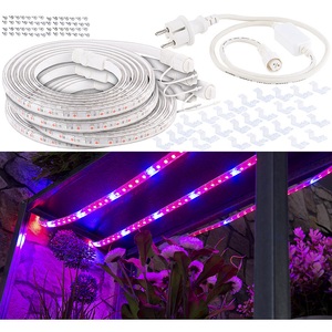 Lunartec, Lunartec 12 Meter LED-Pflanzen-Wachstums-Streifen, rot & blau, mit Netzteil, 12 Meter LED-Pflanzen-Wachstums-Streifen, rot & blau, mit Netzteil