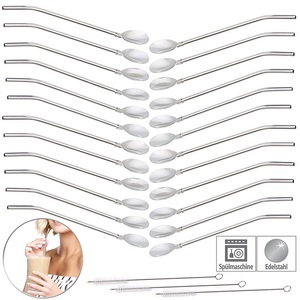 Rosenstein & Söhne, Rosenstein & Söhne 18er-Set 2in1-Trinkhalm-Löffel aus Edelstahl, mit Reinigungsbürste, 18er-Set 2in1-Trinkhalm-Löffel aus Edelstahl, mit Reinigungsbürste