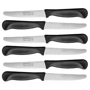 Rosenstein & Söhne, Rosenstein & Söhne Frühstücksmesser mit Wellenschliff aus rostfreiem Chromstahl, 6er-Set, Frühstücksmesser mit Wellenschliff aus rostfreiem Chromstahl, 6er-Set