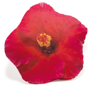 undefined, Dekokissen Hibiskus, pink, Dekokissen Hibiskus, pink