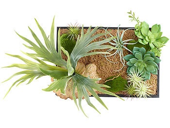 Carlo Milano, Carlo Milano Vertikaler Wandgarten Lisa mit Deko-Pflanzen, 20 x 30 cm, Vertikaler Wandgarten Lisa mit Deko-Pflanzen, 20 x 30 cm