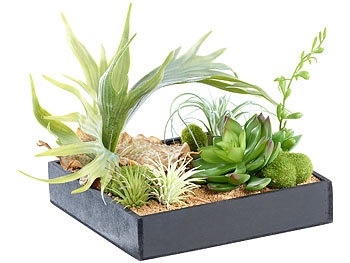 Carlo Milano, Carlo Milano Vertikaler Wandgarten Lena mit Deko-Pflanzen, 20 x 20 cm, Vertikaler Wandgarten Lena mit Deko-Pflanzen, 20 x 20 cm