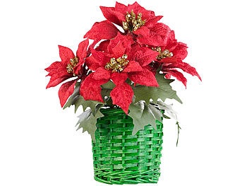 Infactory, infactory Weihnachts-Gesteck mit Weihnachtssternen im geflochtenem Korb, 22 cm, Weihnachts-Gesteck mit Weihnachtssternen im geflochtenem Korb, 22 cm