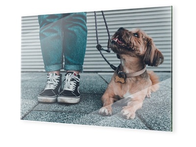 myposter, Bilder auf Glas im Format 80 x 60 cm, 